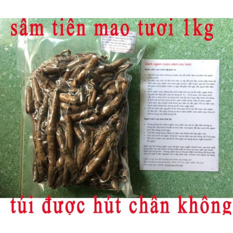 SÂM TIÊU MAO (SÂM CAU ĐEN) - BỔ THẬN TRÁNG DƯƠNG