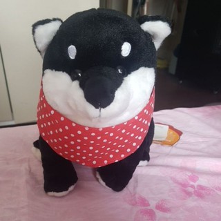 chó shiba lông xù