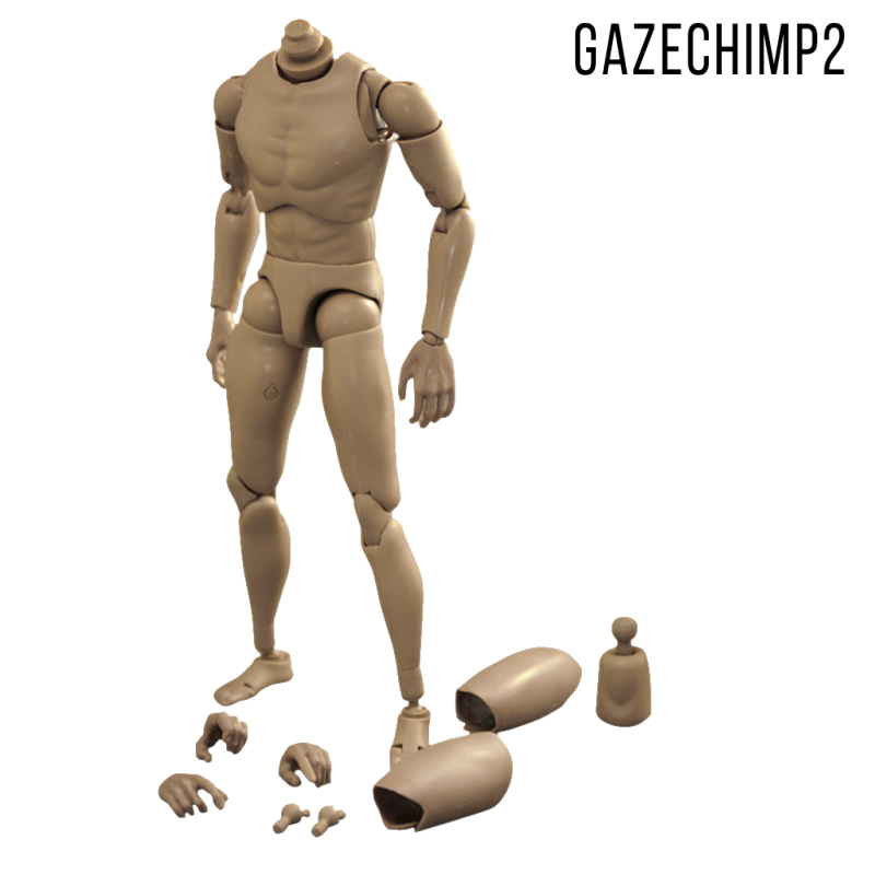 Mô Hình Cơ Thể Người Nam 1 / 6 Gazechimp2 Ttm-18 / 19