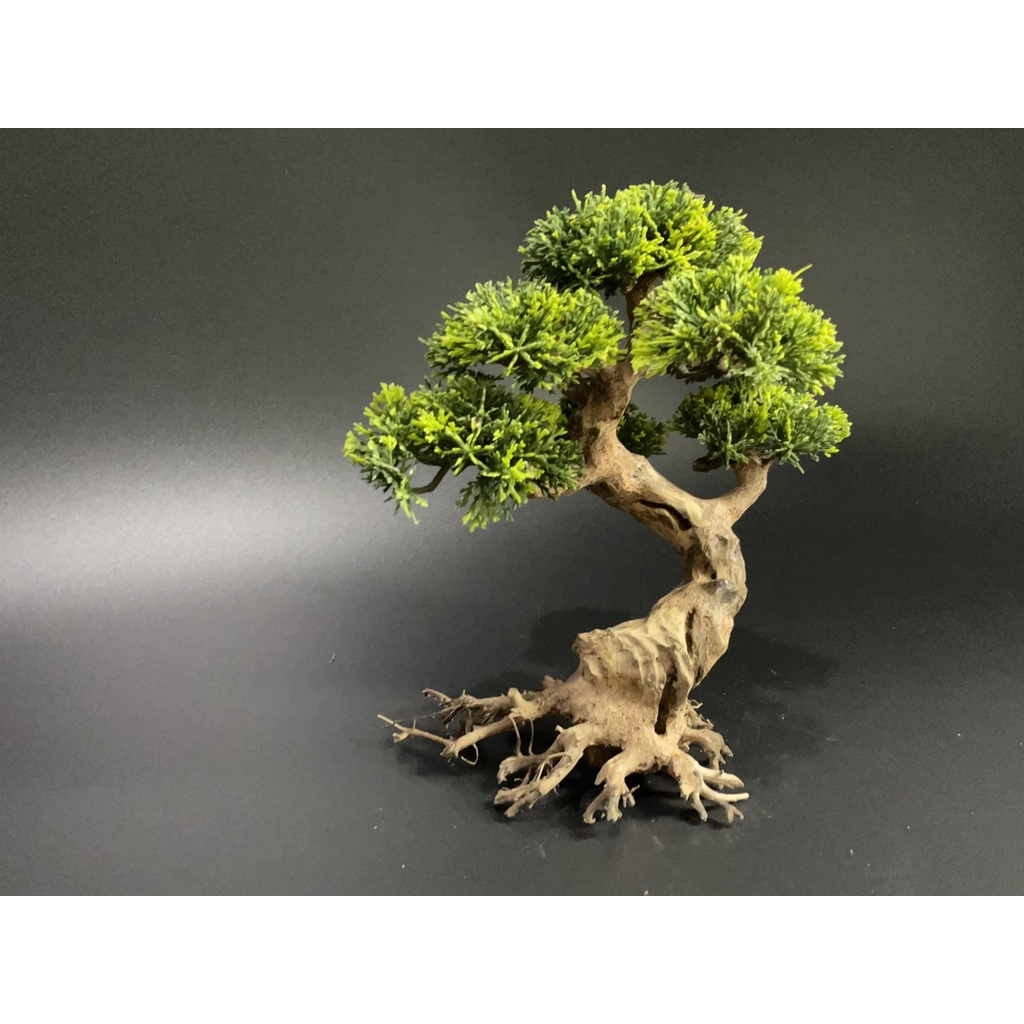 Lũa Bonsai, Lũa thủy sinh dùng trang trí hồ cá cảnh, hồ thủy sinh, văn phòng, nhà cửa