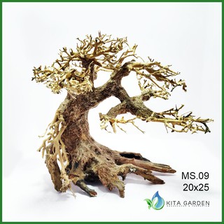 Bonsai Driftwood | kích thước 20x25 | Lũa Bonsai trang trí hồ cá thủy sinh | inbox để chọn cây thực tế