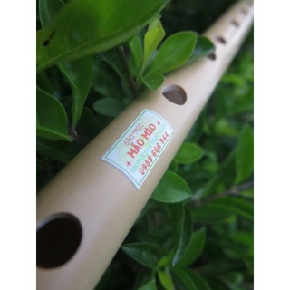 Sáo trúc Mão Mèo chính hiệu chuẩn âm D250