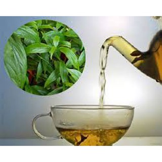 Cây xương khỉ 1kg