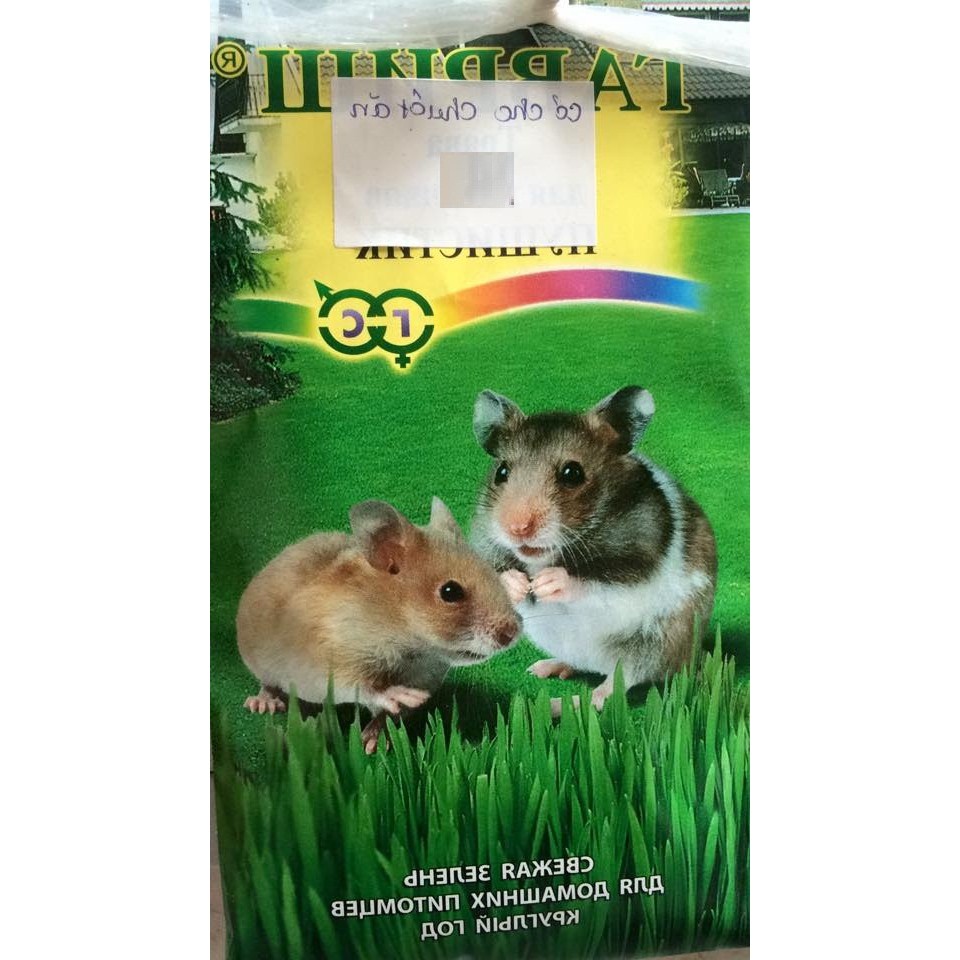 Hạt giống cỏ lúa mì lúa mạch cho thú cưng . chó mèo chim hamster 100gr