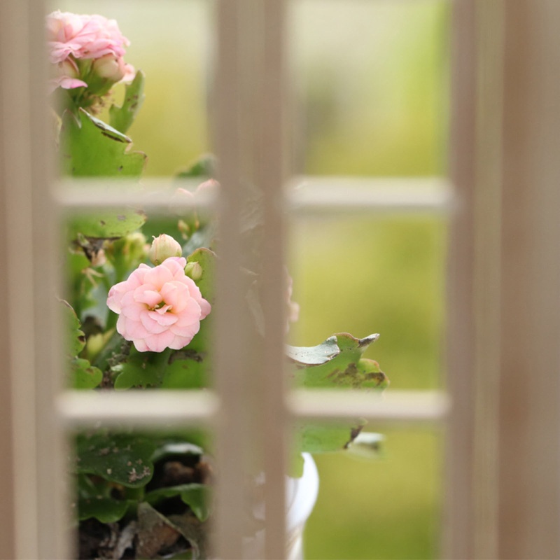 Khung Cửa Sổ Mini Độc Đáo Trang Trí Nhà Búp Bê