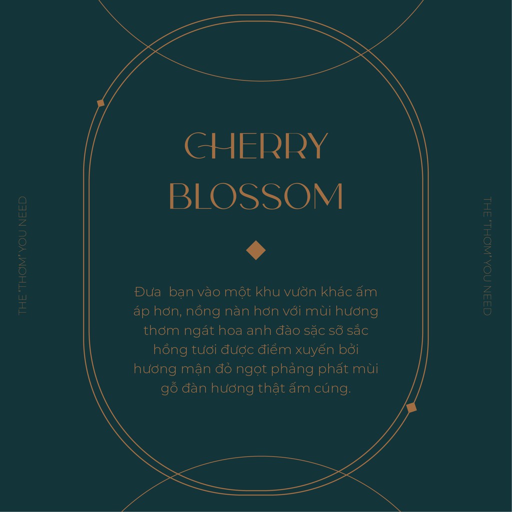 CHERRY BLOSSOM | Sản Phẩm Tắm Dưỡng Xịt Thơm Toàn Thân Bath &amp; Body Works