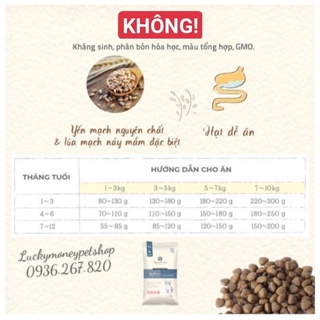 Hạt NATURE CORE C1 BENE KITTEN cho mèo con 🐱🐱🐱