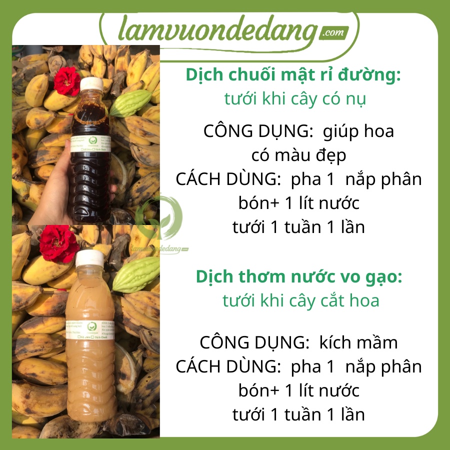 PHÂN BÓN HỮU CƠ COMBO 2 ( CHUỐI + MẬT GỈ ĐƯỜNG - THƠM + NƯỚC VO GẠO ) - bổ sung kali giúp đậm màu hoa