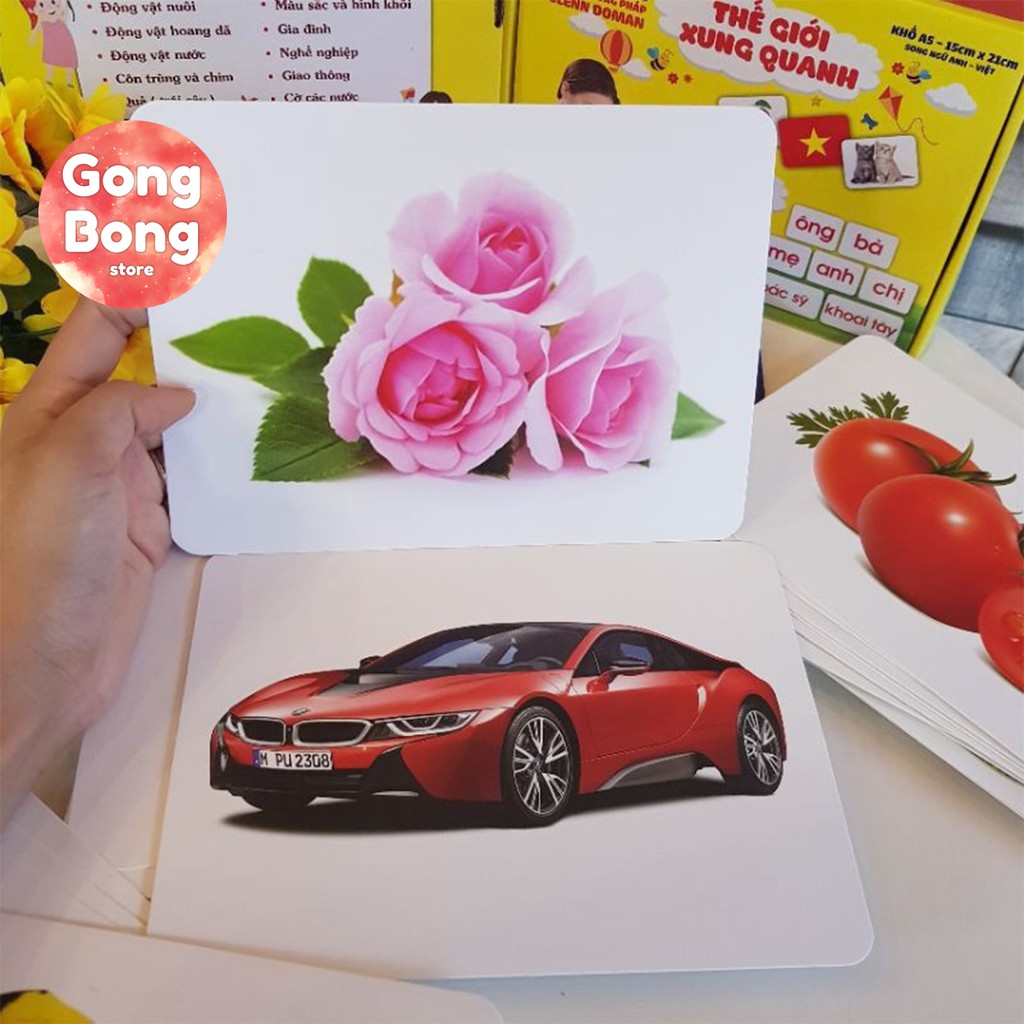 Bộ thẻ học Flashcard thông minh Glenn Doman 14 chủ đề Thế giới xung quanh song ngữ cho bé khổ A5 Gong Bong store