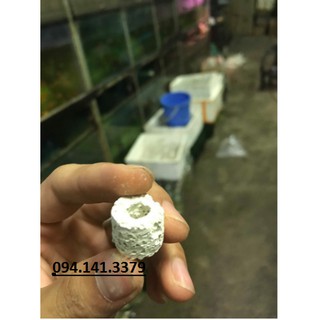 Sứ Lọc Hồ Cá Bịch 200g - Sứ Lọc Bể Cá