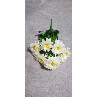 cúc tàu cao cấp