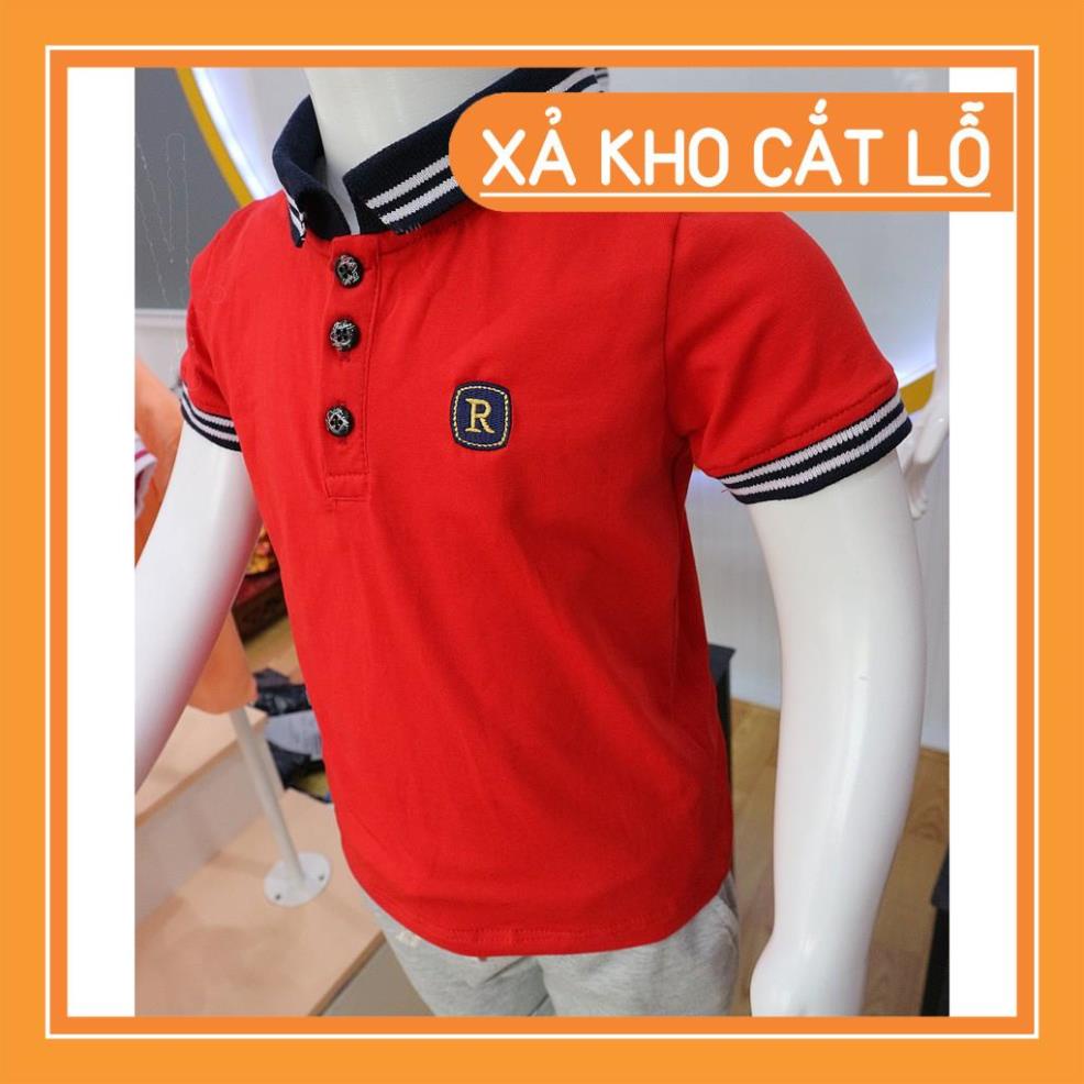 Combo 2 áo Polo cho Bé Trai cao cấp (9-29kg)- Royal KIDS