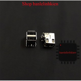 Cổng USB A cái đơn/đôi chân cong