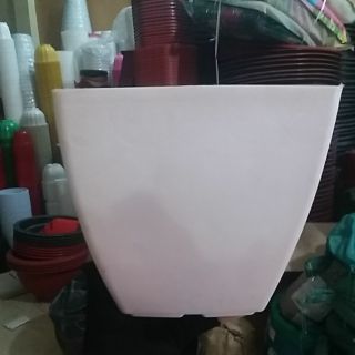 chậu vuông trồng cây 20cm