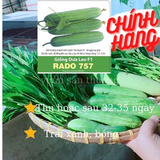 [Rạng Đông] Hạt Giống Dưa Leo F1 Rado 752 gói 2g Rạng Đông, dễ trồng năng suất cao