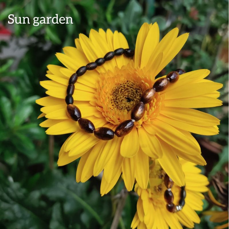 Vòng cổ choker san hô đen sang trọng
