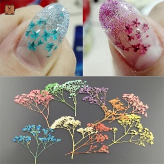 SET 10 NHÁNH HOA KHÔ LÀM MÓNG TAY SIÊU YÊU