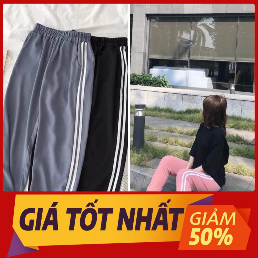 Set Đồ Thể Thao Năng Động Unisex Quần Jogger Phối Thun Unisex Gấu Tai Dày S10 Có Big Size