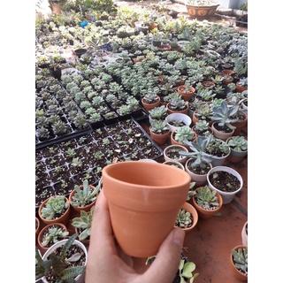 Chậu đất nung 9cm
