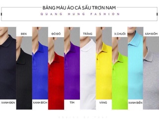 Combo 2 Áo thun cá sấu