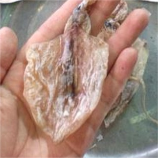 1KG KHÔ MỰC 🦑- khô mực con
