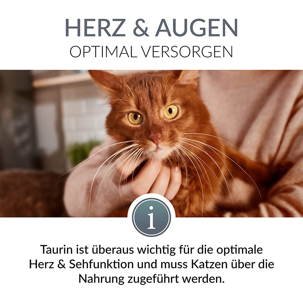 Gel Gimcat Taurine Paste giúp tăng đề kháng, bổ mắt và bổ tim cho mèo (50gr )