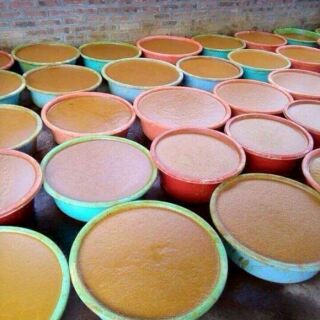 Tinh nghệ vàng - Ngũ cốc Nhà Cừu
