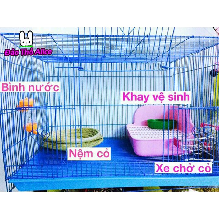 Lồng thỏ bọ alice size nhỏ- trung- lớn