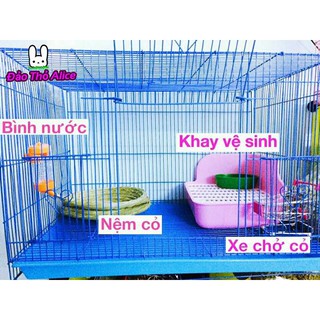 Lồng thỏ bọ alice size nhỏ- trung- lớn