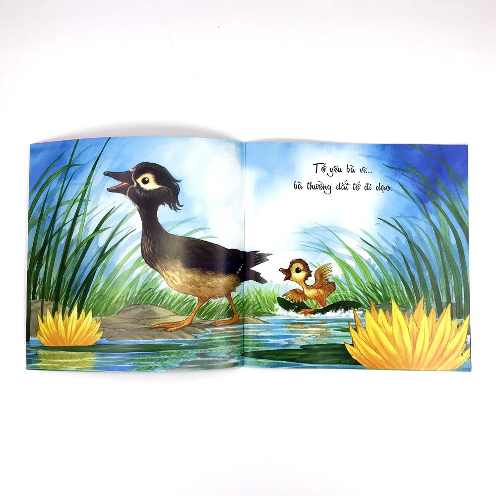 Sách - Vì Sao Tớ Yêu Ông - Bà - Bố - Mẹ( Combo 4 Cuốn) | BigBuy360 - bigbuy360.vn