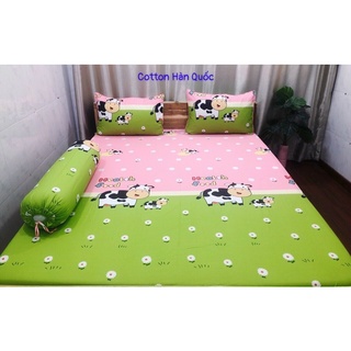 Bộ drap giường cotton Hàn Quốc( nệm dày 10-15 cm)
