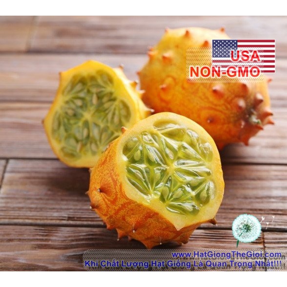 5h Hạt Giống Dưa Chuột Gai Chịu Nhiệt Kiwano (A2.203| C6*V43)