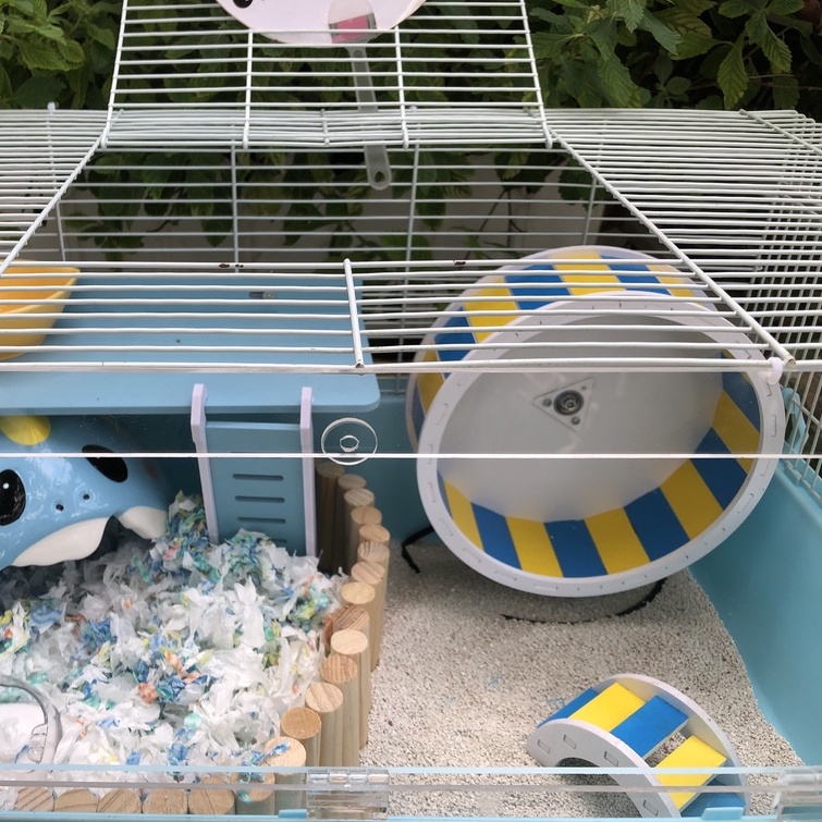 Đồ chơi hamster, CẦU VƯỢT XỐP ĐỦ MÀU cho hamster, sóc, bọ, nhím