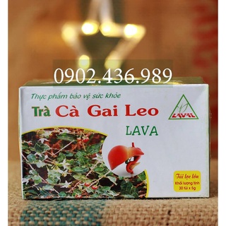 Trà Túi Lọc Cà Gai Leo Hộp 30 Gói, FREESHIP, Dễ Dùng, Tốt Cho Sức Khỏe