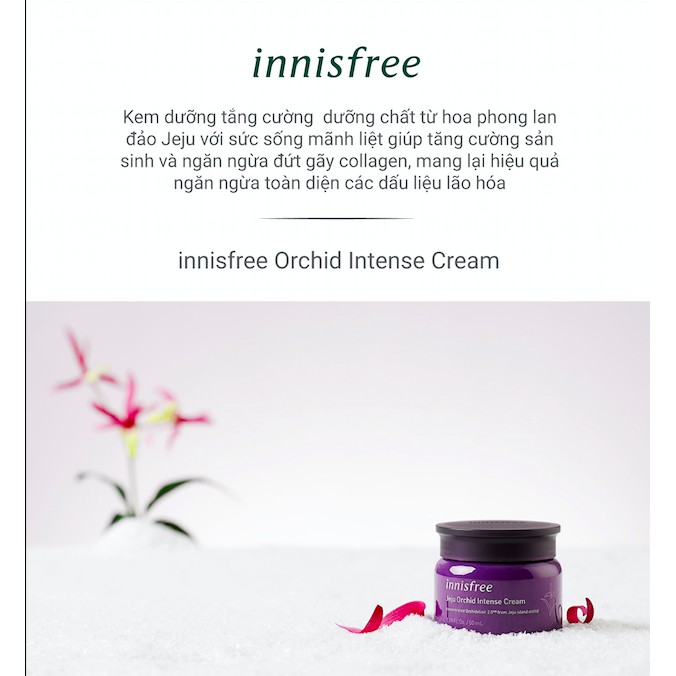 Kem dưỡng tăng cường dưỡng chất ngăn ngừa lão hóa sớm từ hoa lan Innisfree Jeju Orchid Intense Cream 50ml | BigBuy360 - bigbuy360.vn