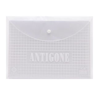 Túi cúc bấm ( túi clear) đựng tài liệu