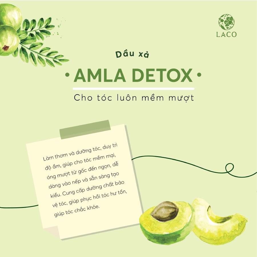 [Chính hãng] Dầu GỘI AMLA DETOX LACO - SẠCH GÀU & NGỪA RỤNG TÓC