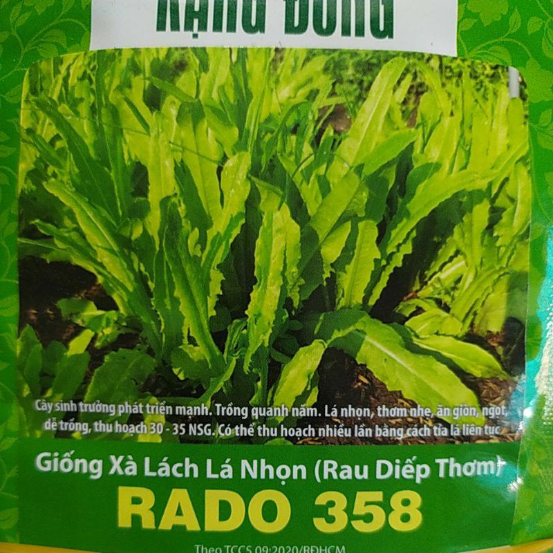 Hạt giống rau RĐ Xà lách lá nhọn rado 358