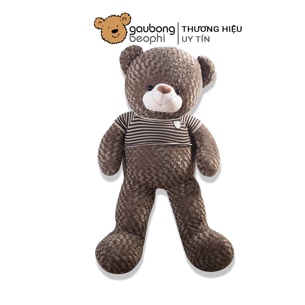 Gấu Teddy Khổ Vải 1M4 Cao Cấp Gấu Bông Béo Phì