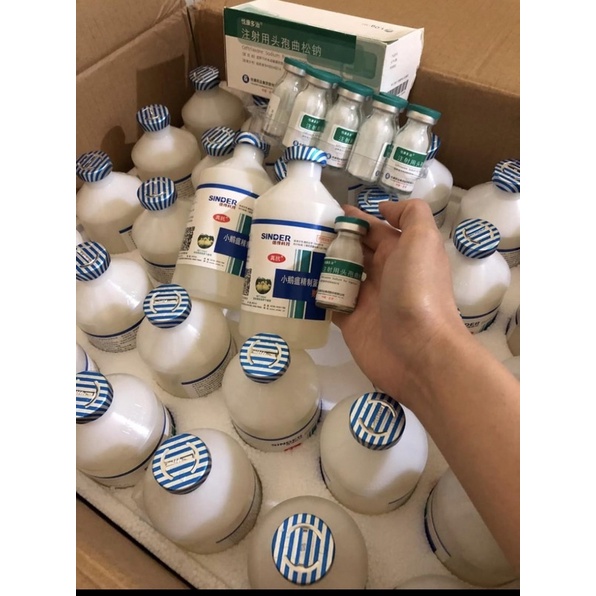 Kháng thể rụt mỏ vịt,ngan,ngỗng lọ 250ml liều 500 tặng kèm 1 lọ cef