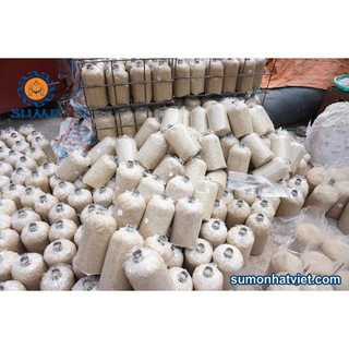 Cổ chai làm bịch nấm