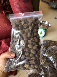 Hạt Ươi rừng