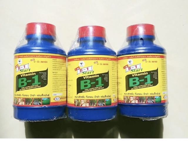 B1 Thái Lan chai 100ml - Điều hoà sinh trưởng cho cây