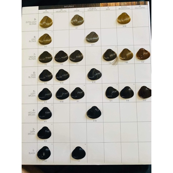 Màu nhuộm thời trang, phủ bạc cao cấp Schwarzkopf Igora Royal 60ml