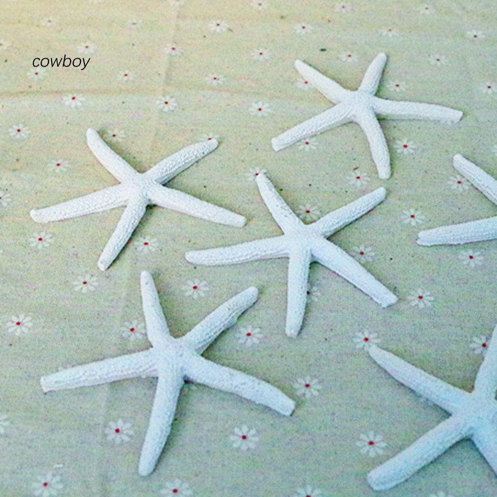 Sao Biển Nhân Tạo Bằng Nhựa Thân Thiện Với Môi Trường Dùng Trang Trí DIY