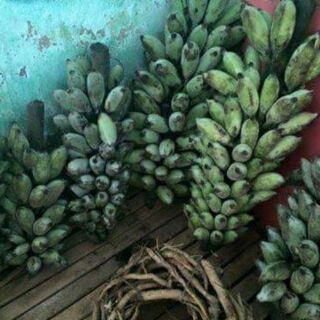 Chuối rừng thái lát 1kg