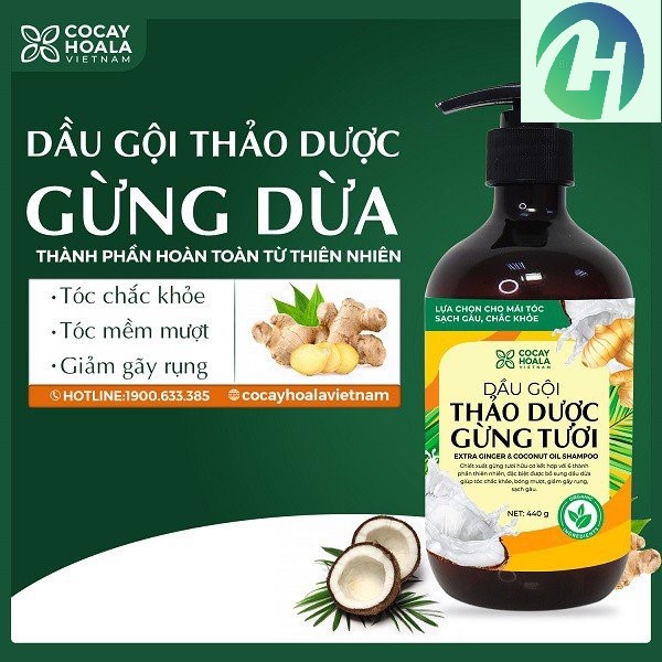 [SIÊU SALE] Chai dầu gội thảo dược gừng dừa hữu cơ Cocayhoala (440ml/chai)