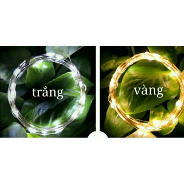 Đèn Led Fairy Light (trắng/vàng/nhiều màu) 2 MÉT USB - Đèn đom đóm phụ kiện trang trí Giáng Sinh, chụp ảnh | BigBuy360 - bigbuy360.vn