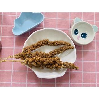 thức ăn dặm cho hamster