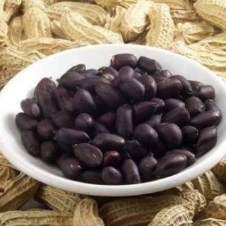 Hạt giống lạc đen kokuma